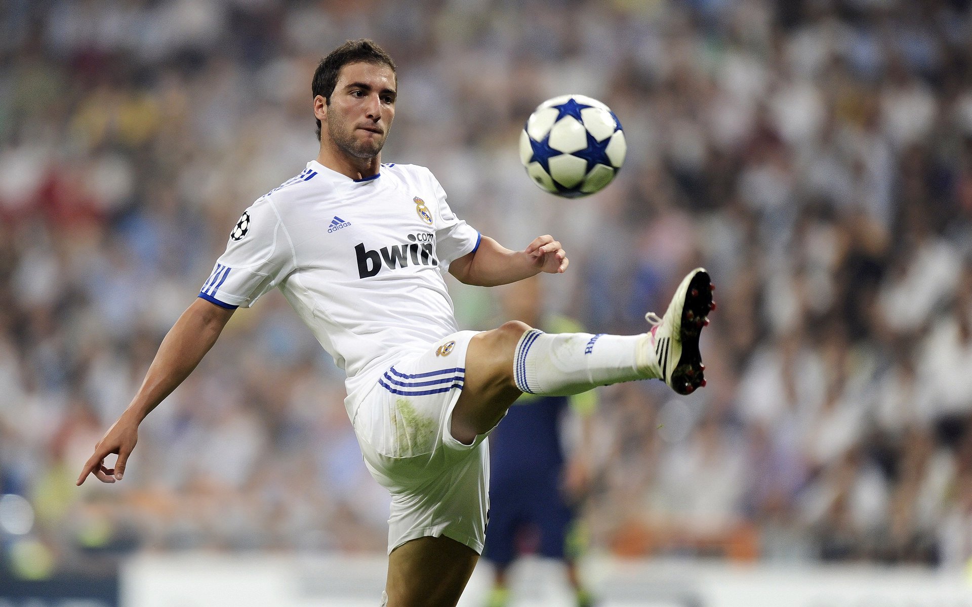 足球比赛年度统计